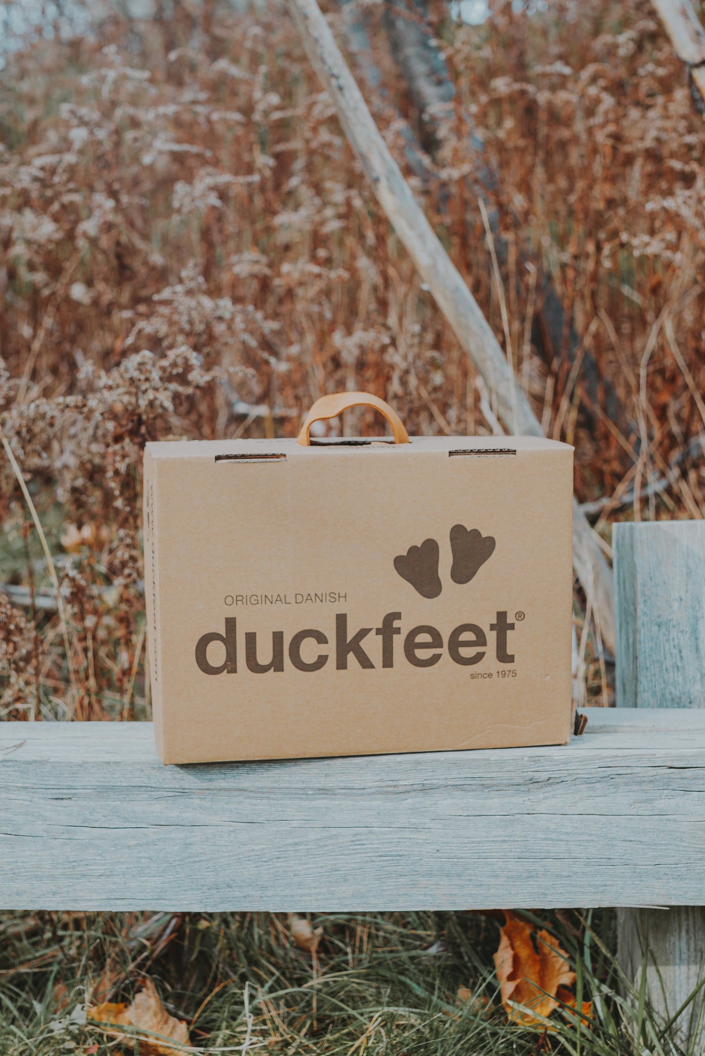 Duckfeet Box Handle Earrings