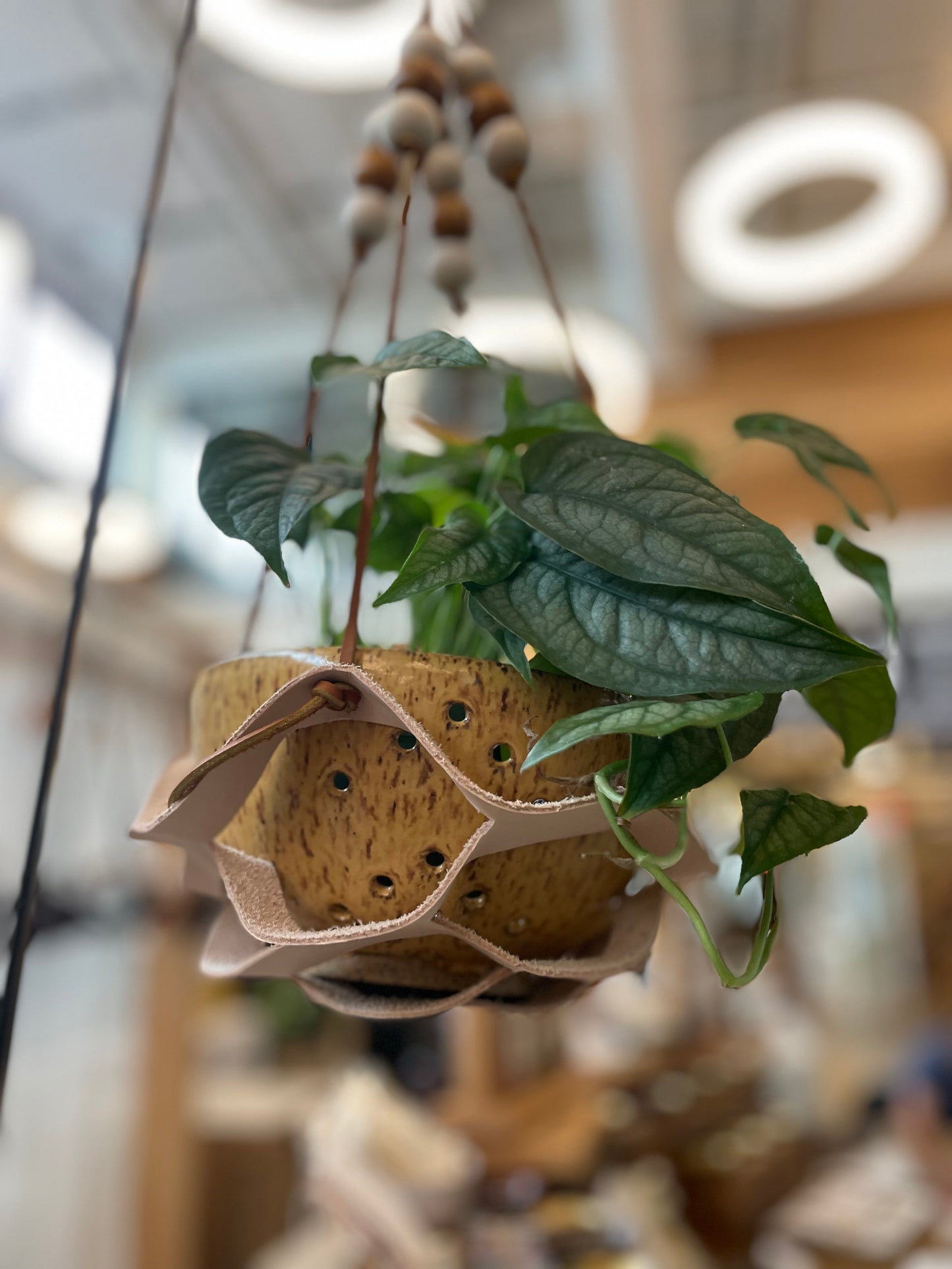 Leather Plant Hangers