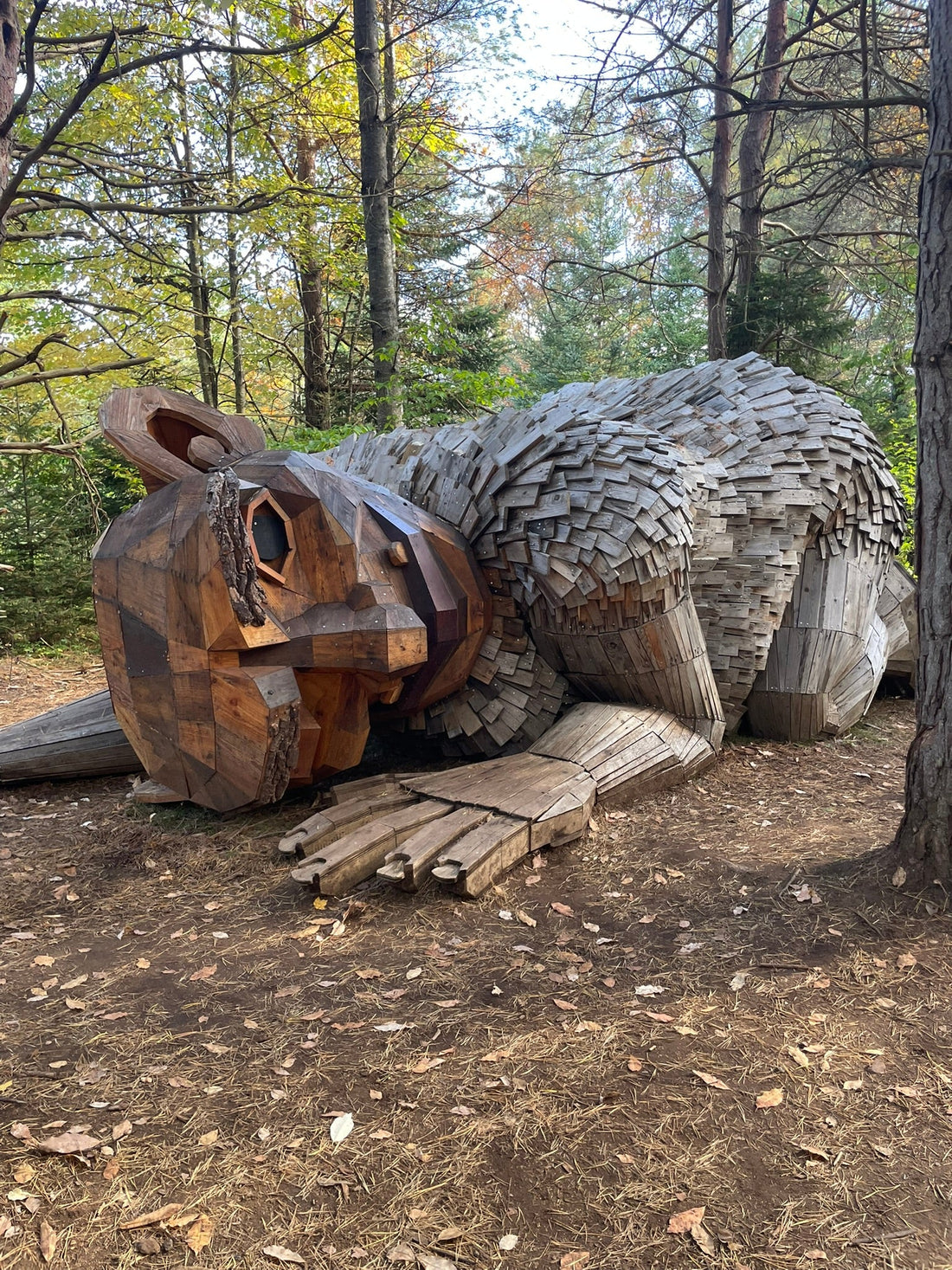 From Trolls to Treasure: Finding Inspiration in the Adirondacks